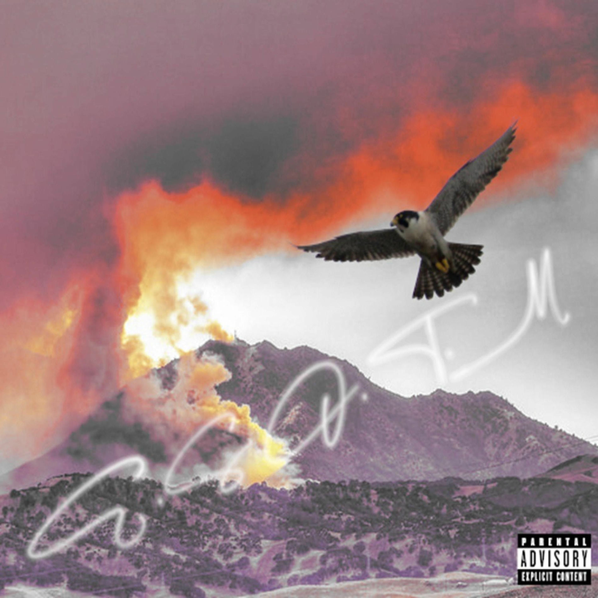 Album cover of EAST SIDE OF THE MOUNTAIN