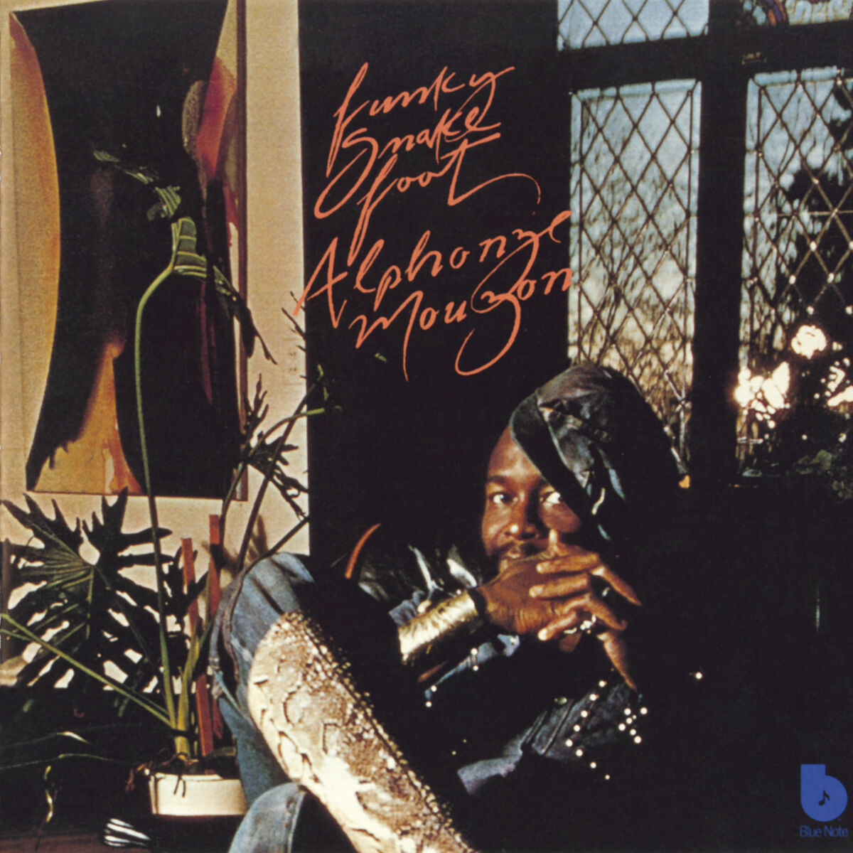 Album cover of Funky Snakefoot