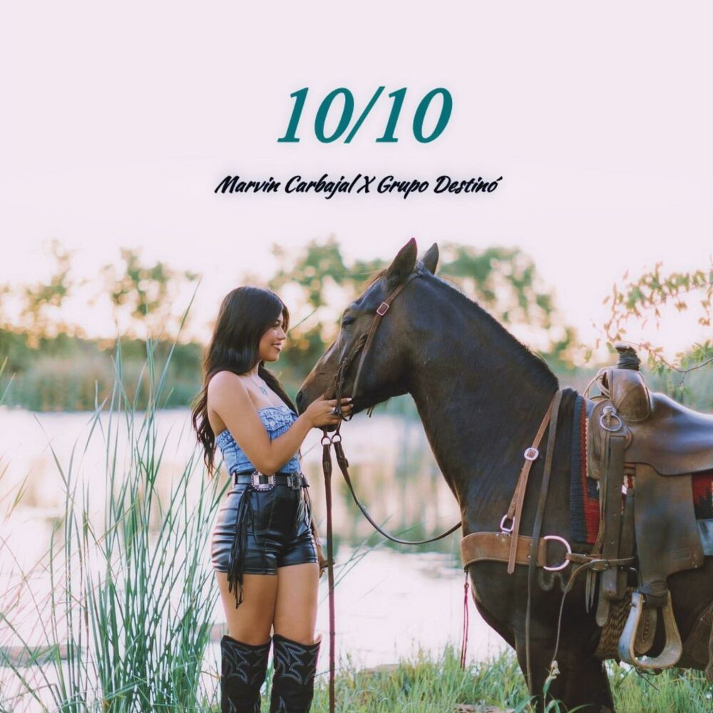 Picture of 10/10