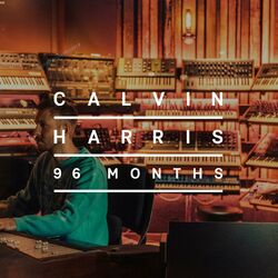 Cover of 96 Months