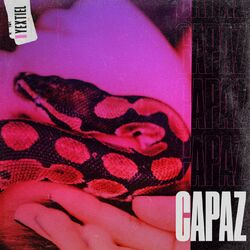 Cover of Capaz
