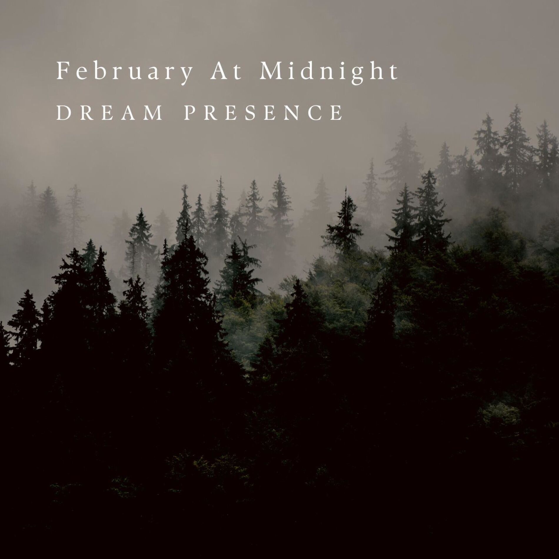 Album cover of February At Midnight Arr. For Violin