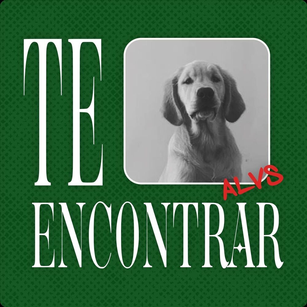 Picture of Te Encontrar