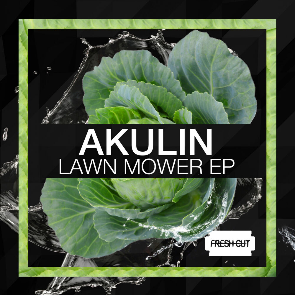 Picture of Lawn Mower