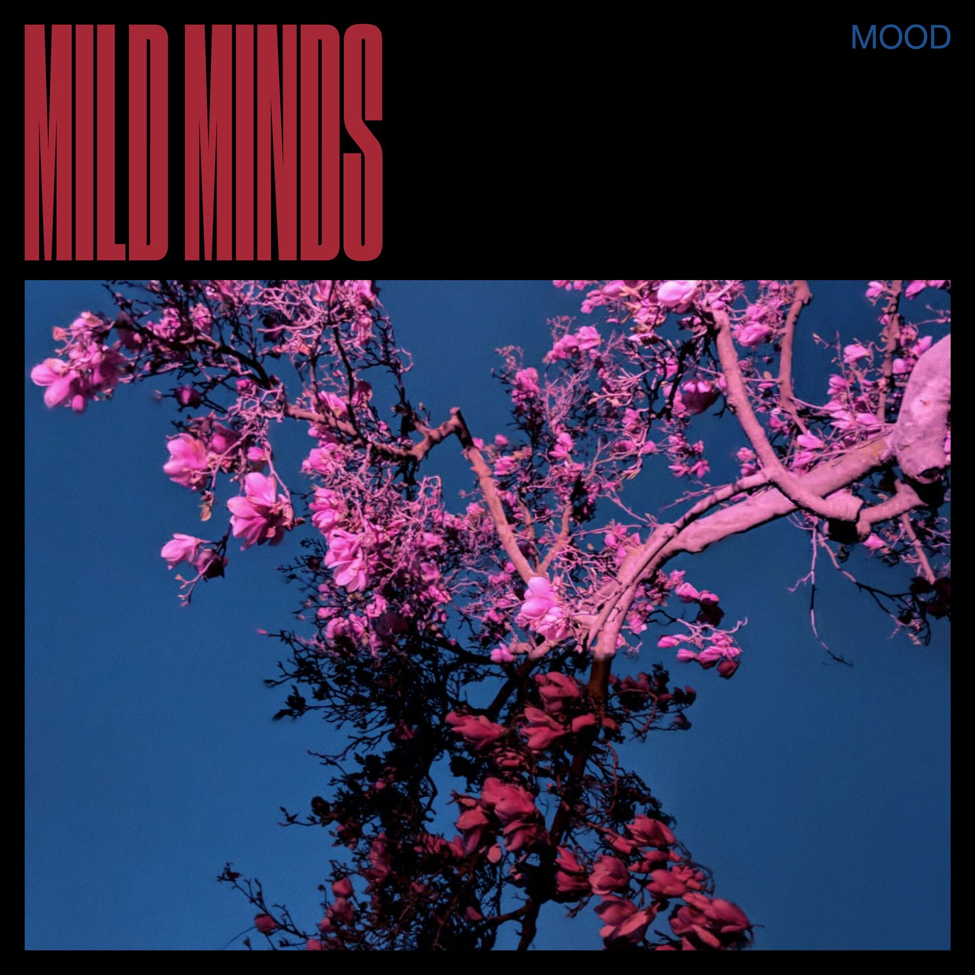 Album cover of MOOD