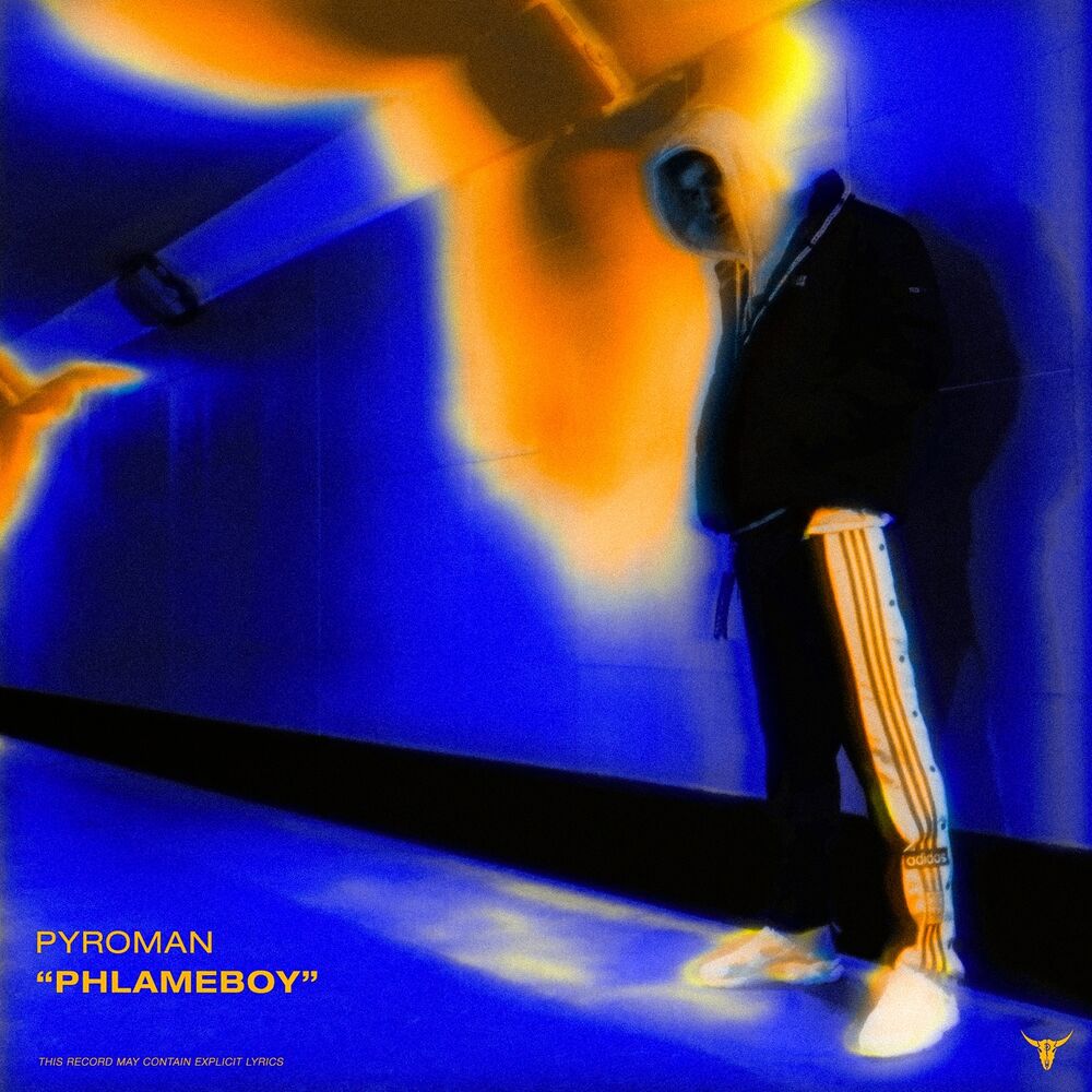 Picture of PHLAMEBOY