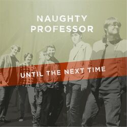 Cover of Until the Next Time