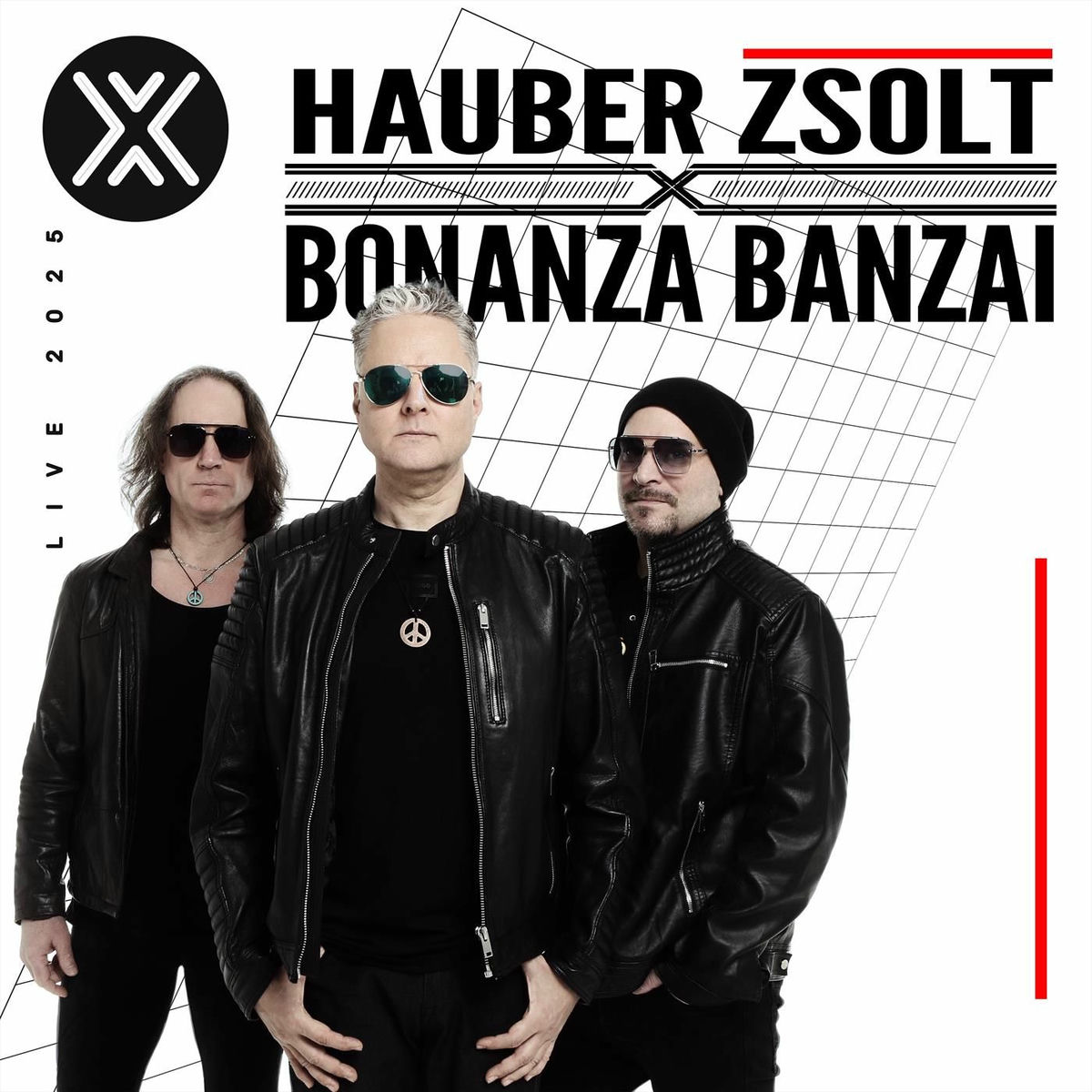 Album cover of HAUBER ZSOLT X BONANZA BANZAI LIVE 2025 (Live)