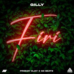 Cover of Firi