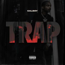 Cover of Trap