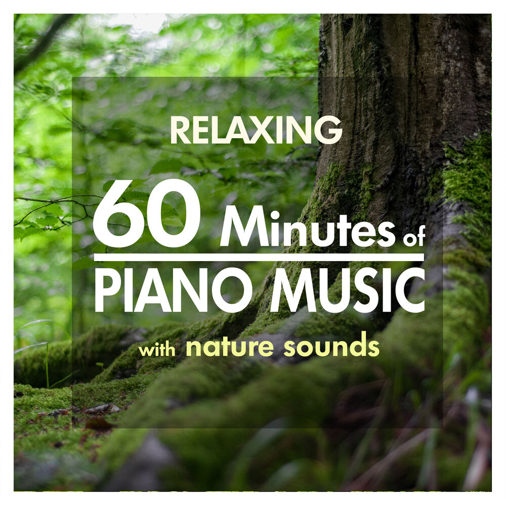 Picture of 60 Minutes Relaxing Piano Music with Nature Sounds