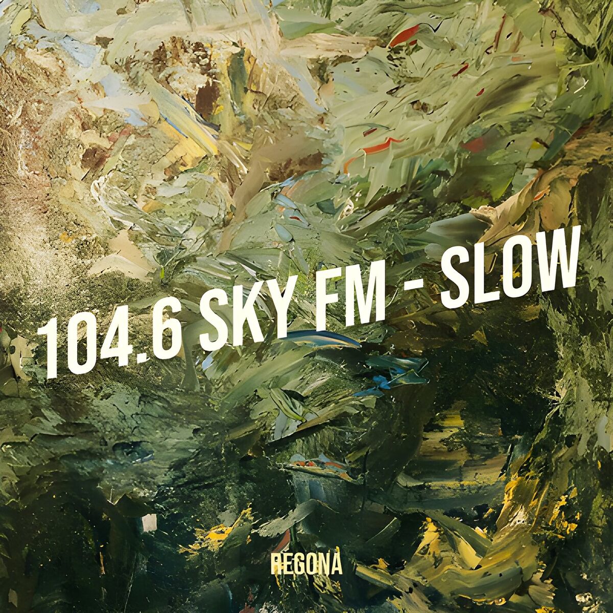 Album cover of 104.6 Sky Fm