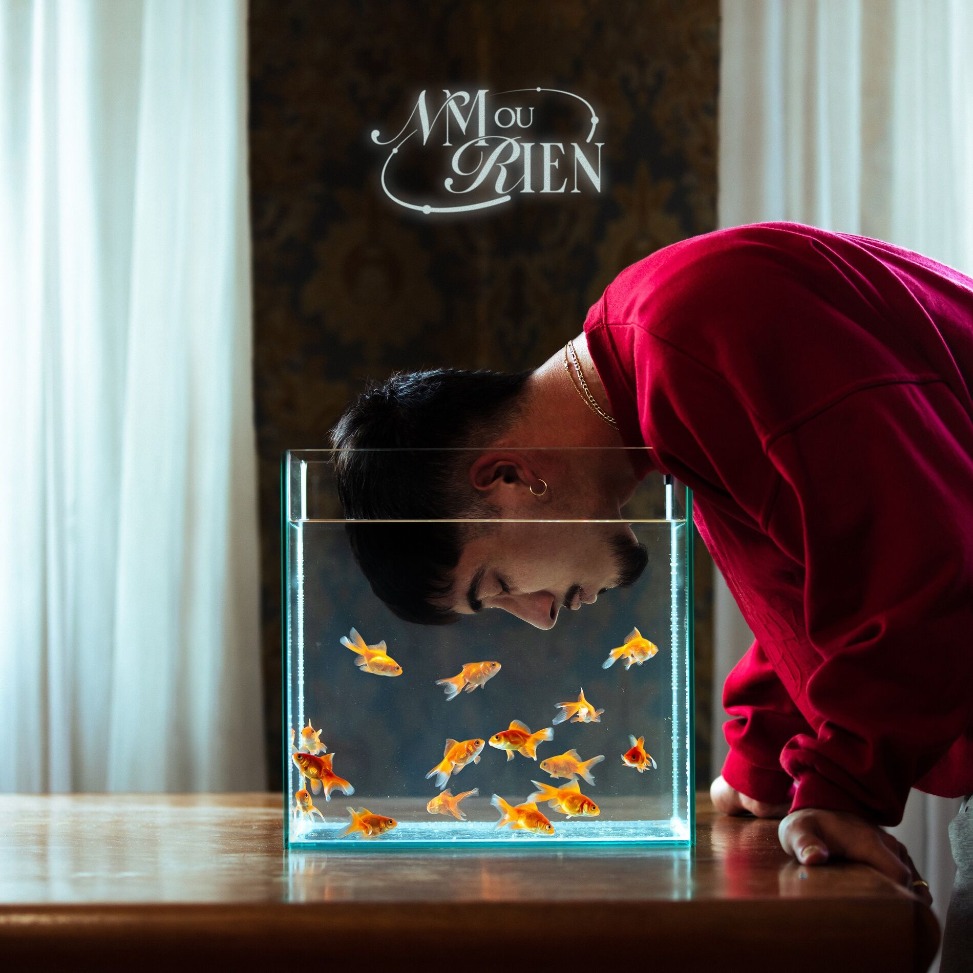 Album cover of NM ou rien