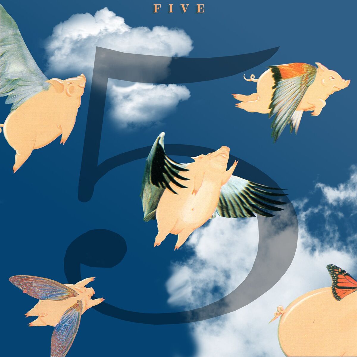 Album cover of Five