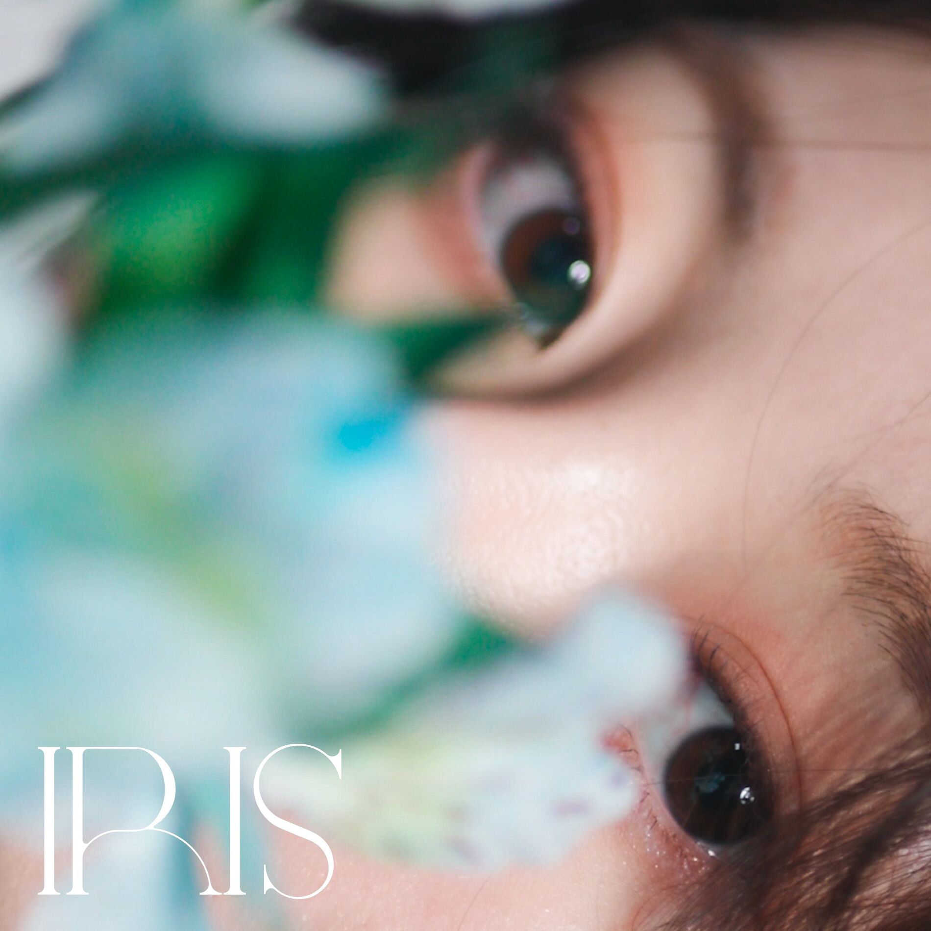 Album cover of Iris