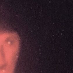 Cover of A Fleeting Whisper