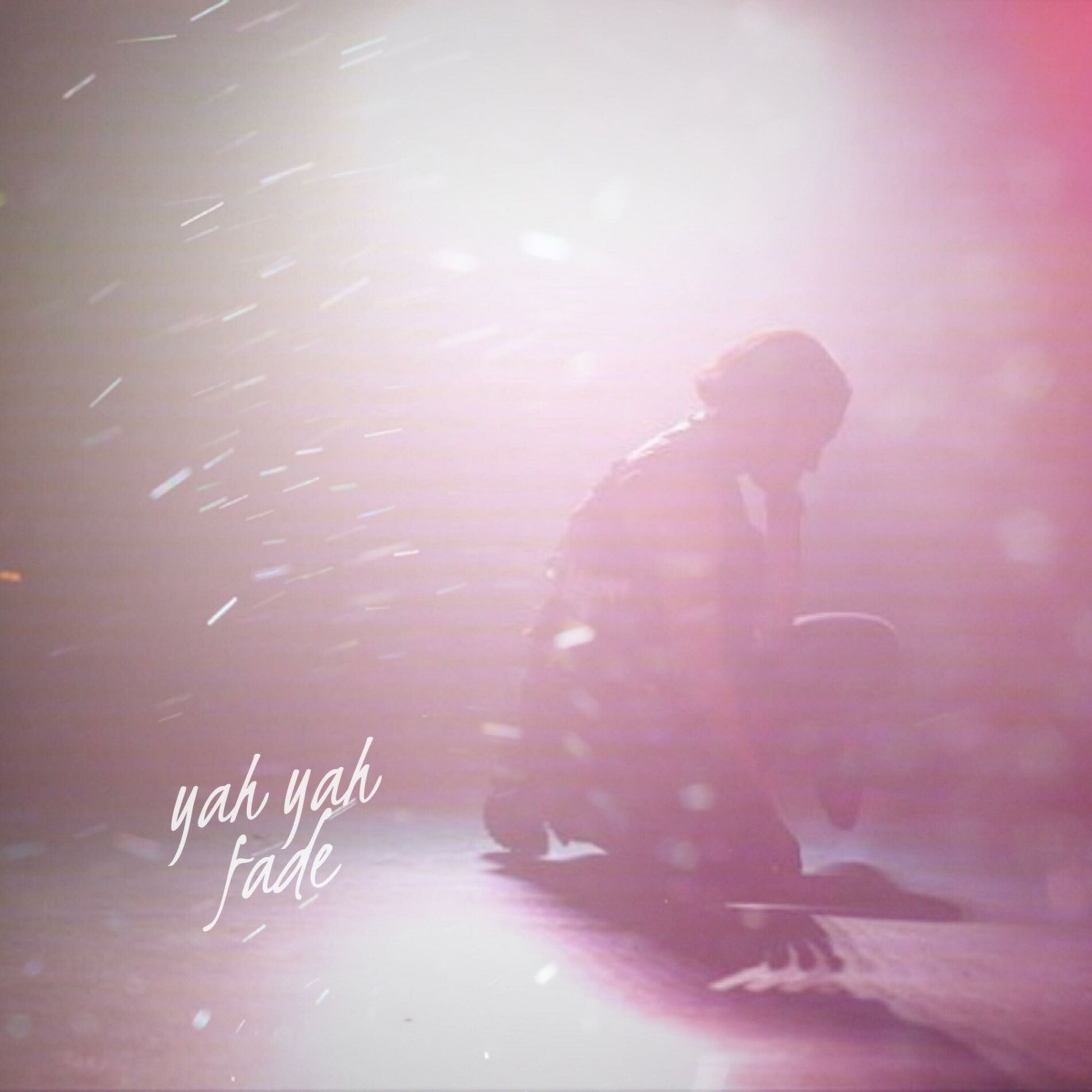 Album cover of Fade