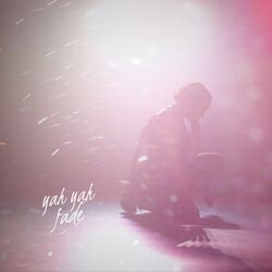 Cover of Fade