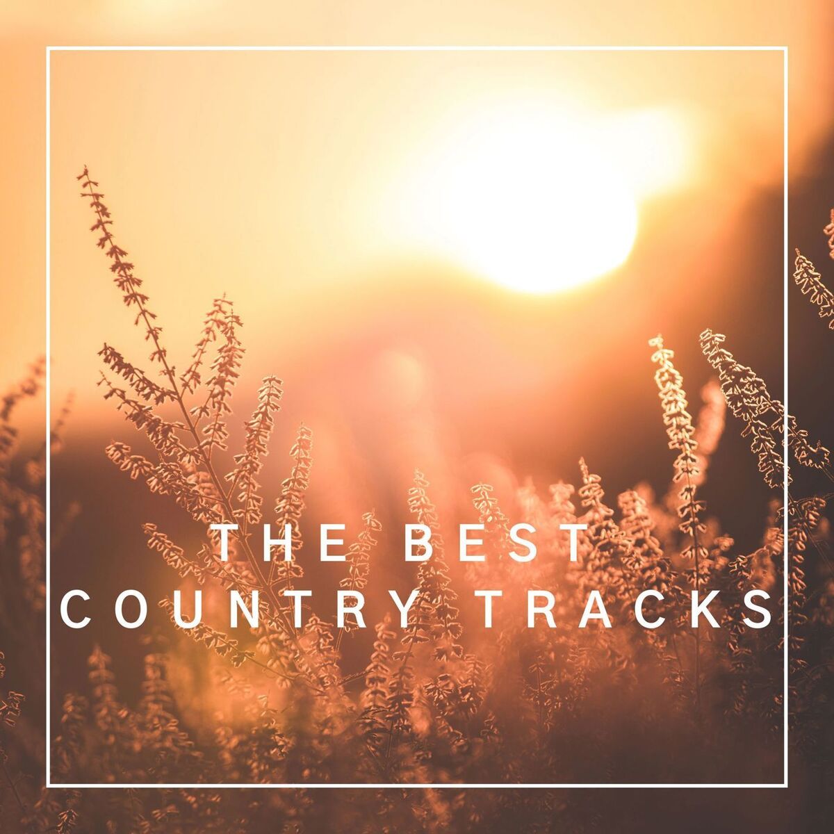 Album cover of The Best Country Tracks