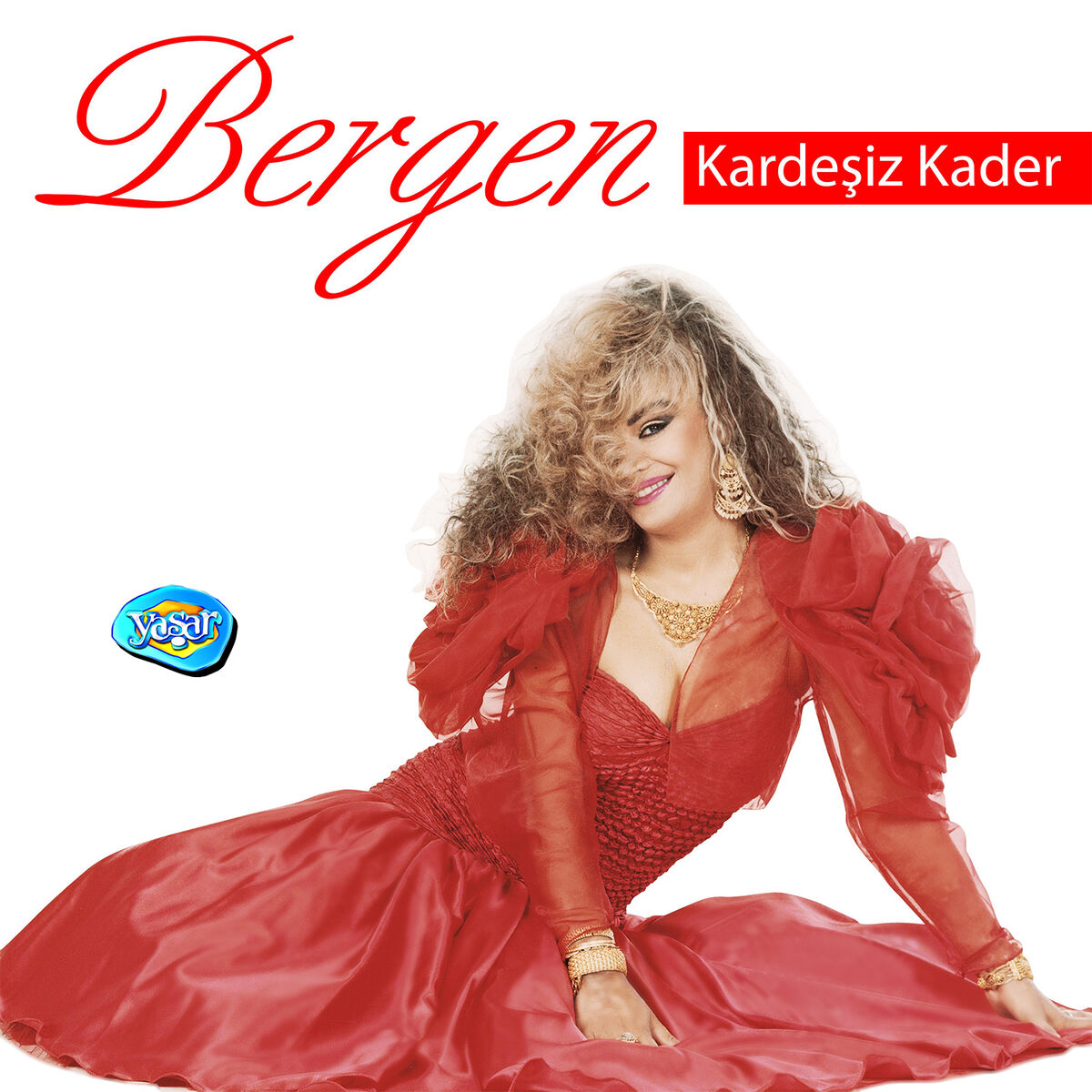 Album cover of Kardeşiz Kader
