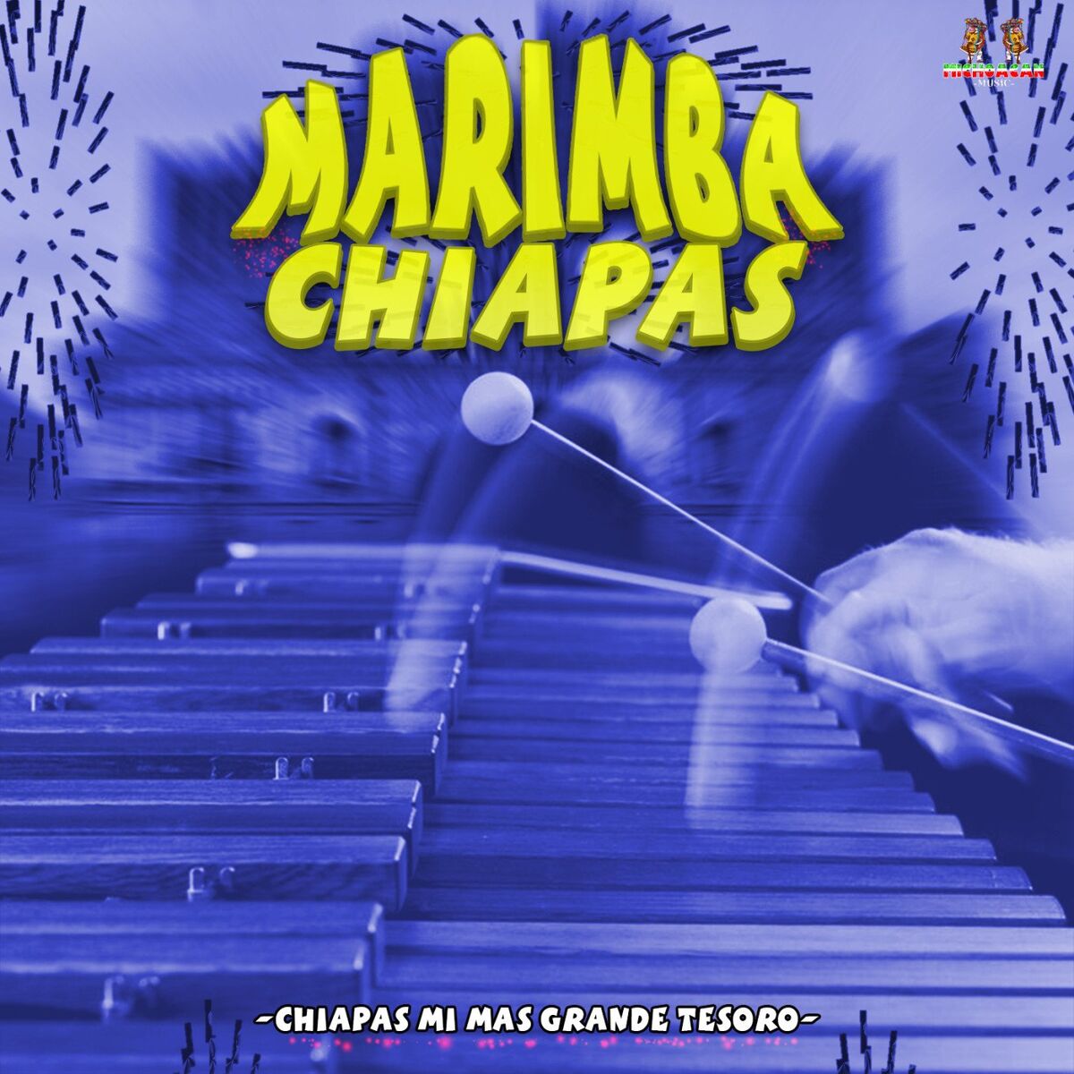 Album cover of Chiapas Mi Mas Grande Tesosro