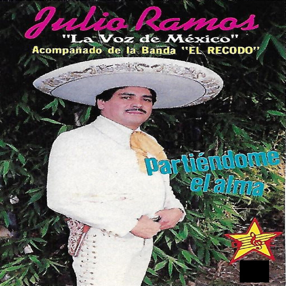 Picture of Partiendome El Alma