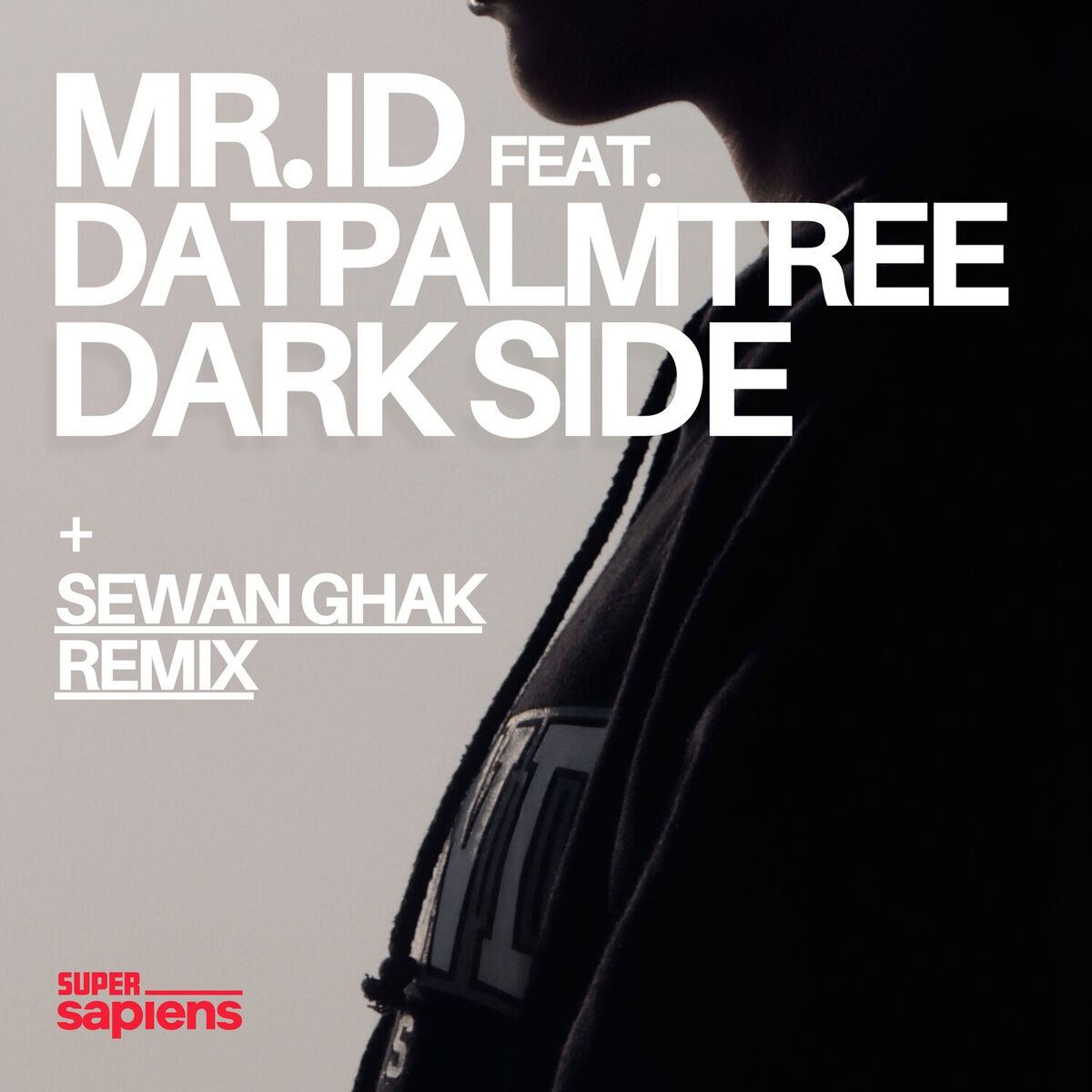 Album cover of Dark Side