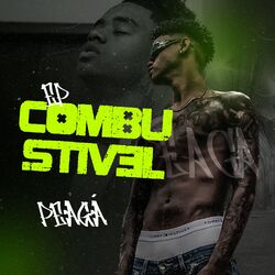 Cover of Combustivel