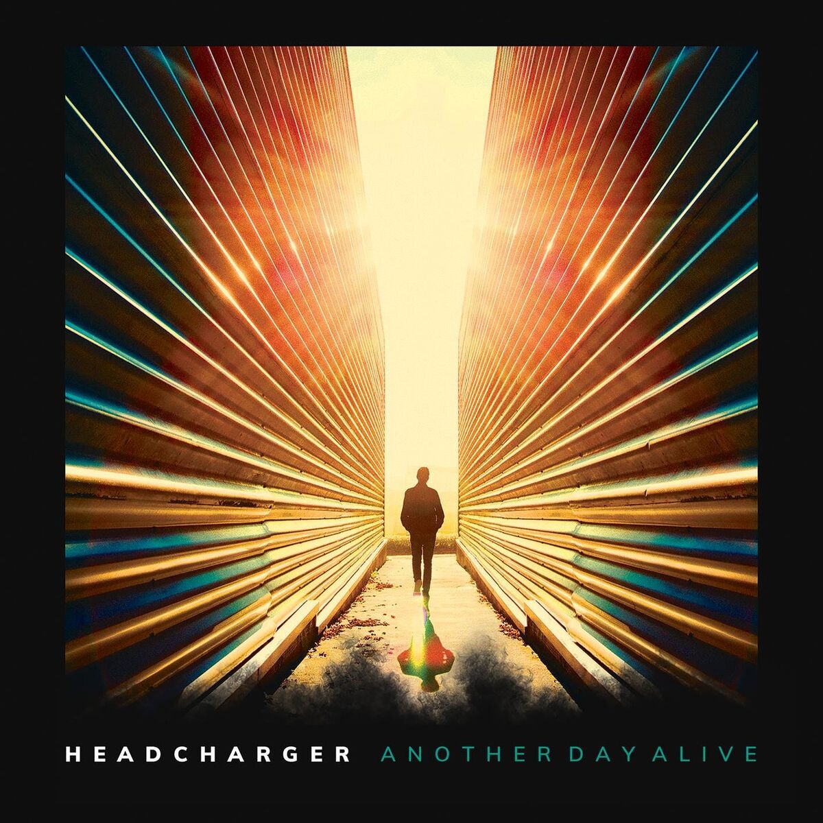 Album cover of Another Day Alive