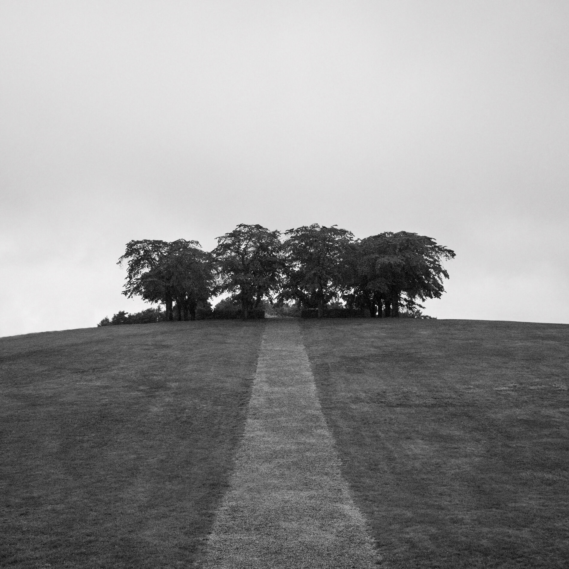 Album cover of Words