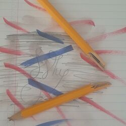 Cover of Written Words