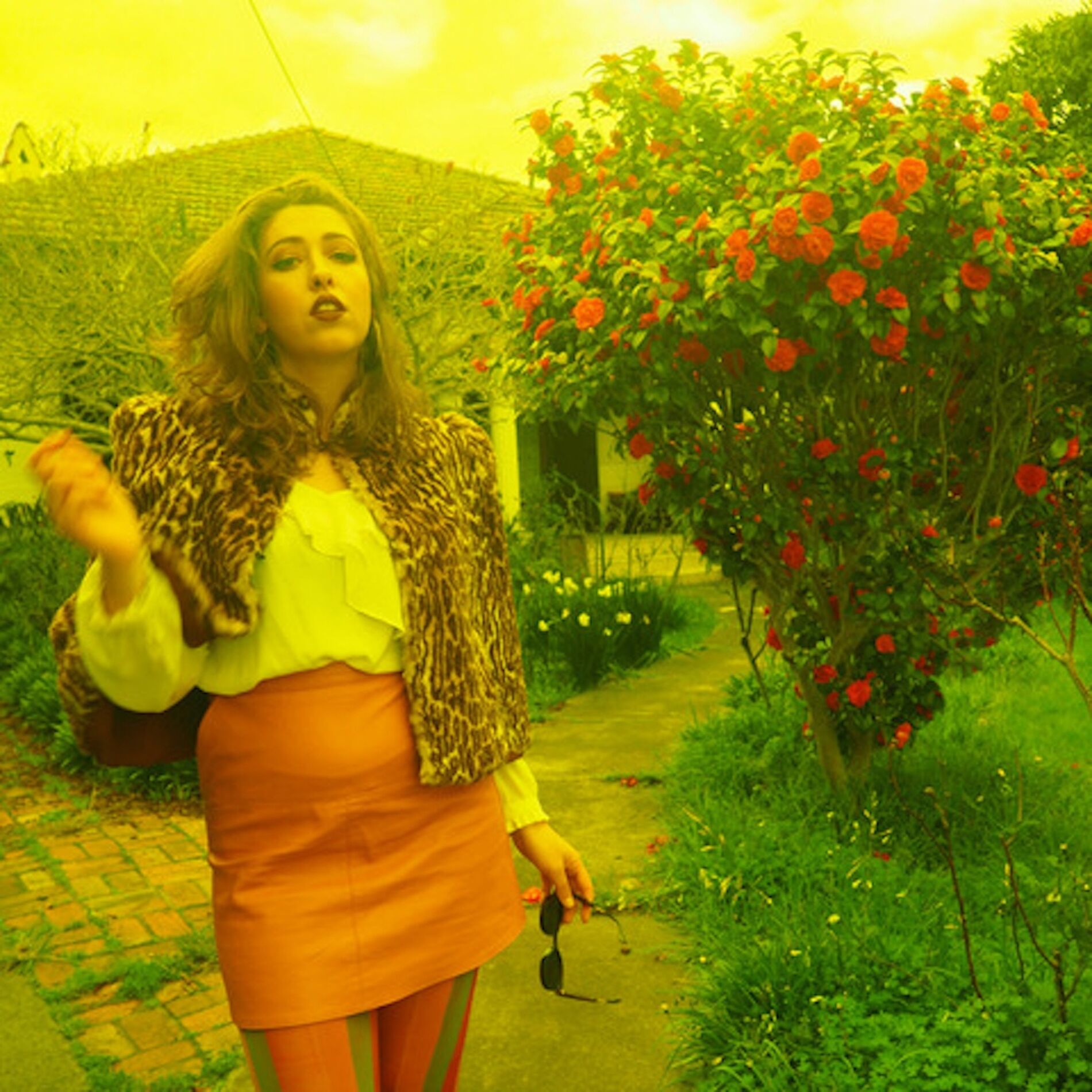 Album cover of Frangelico Dreams