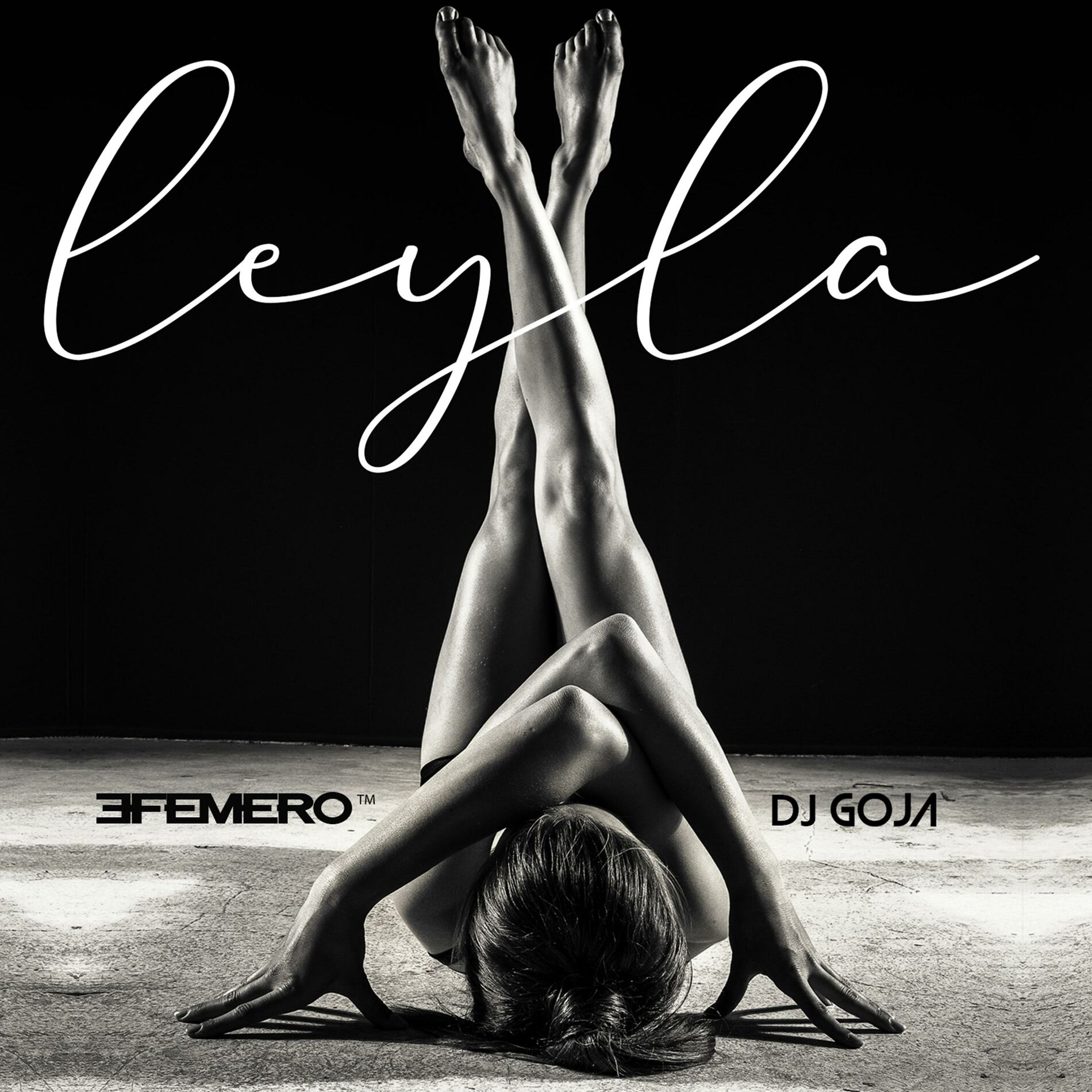 Album cover of Leyla