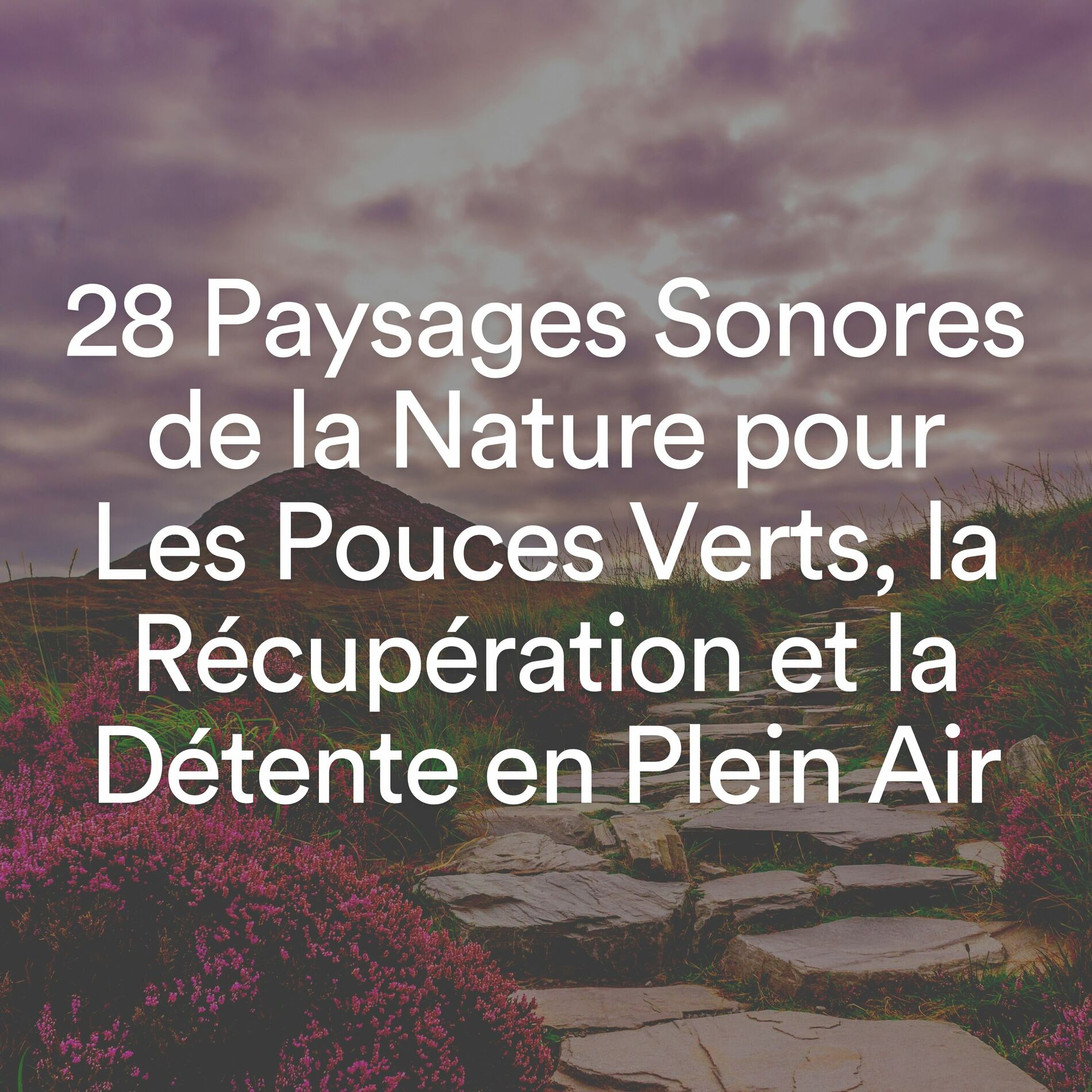 Album cover of 28 Paysages Sonores de la Nature pour Les Pouces Verts, la Récupération et la Détente en Plein Air