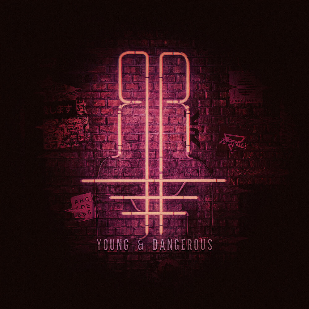 Picture of Young & Dangerous