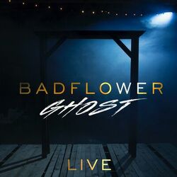 Cover of Ghost (Live)
