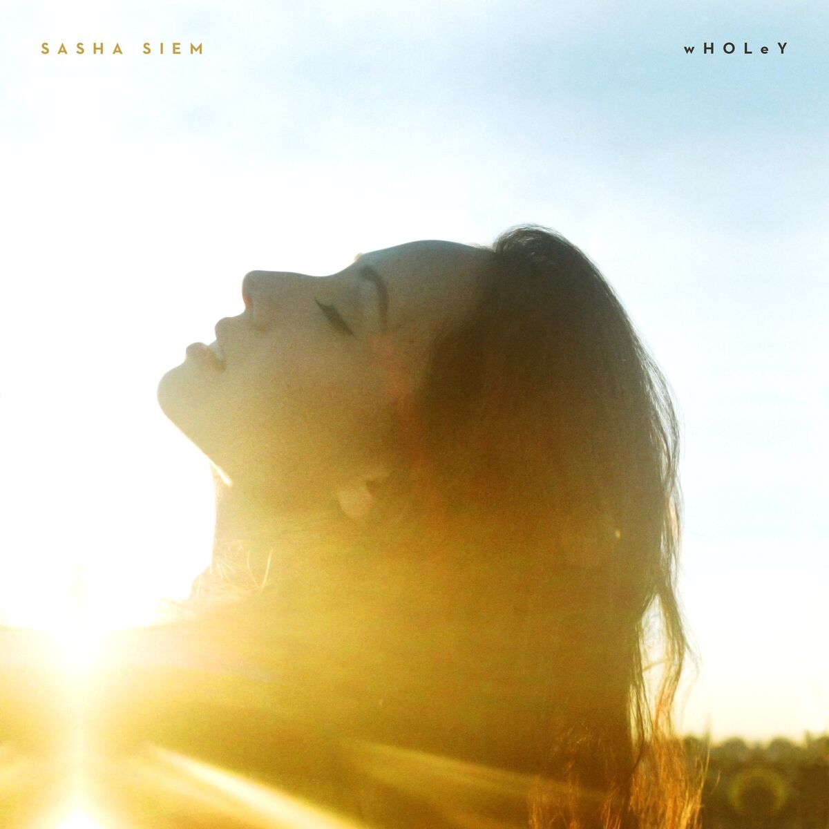 Album cover of Wholey
