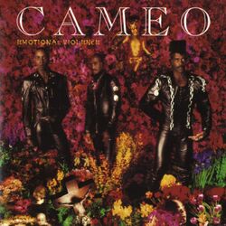 Cover of Emotional Violence