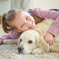 Pet Lofi Raindrops: Soothing Rain for Peaceful Companions