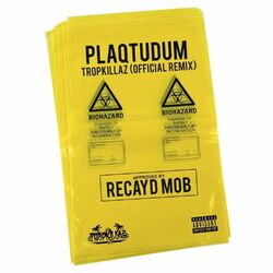 Cover of Plaqtudum (Tropkillaz Remix)