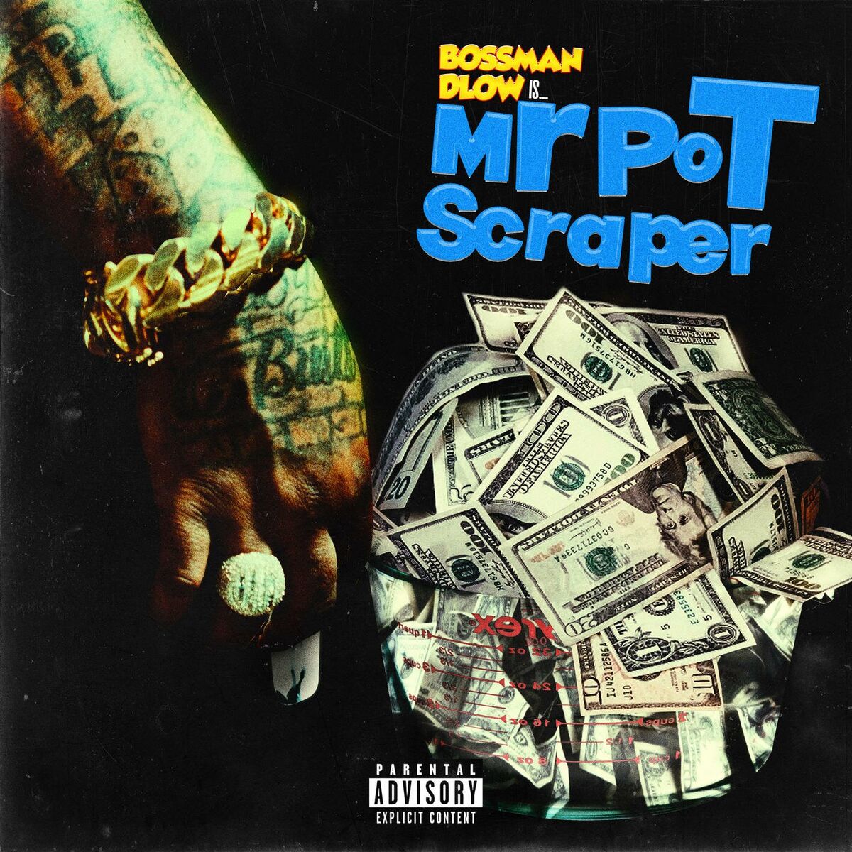 Album cover of Mr Pot Scraper