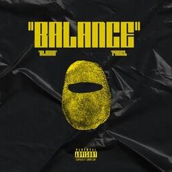 Cover of Balance