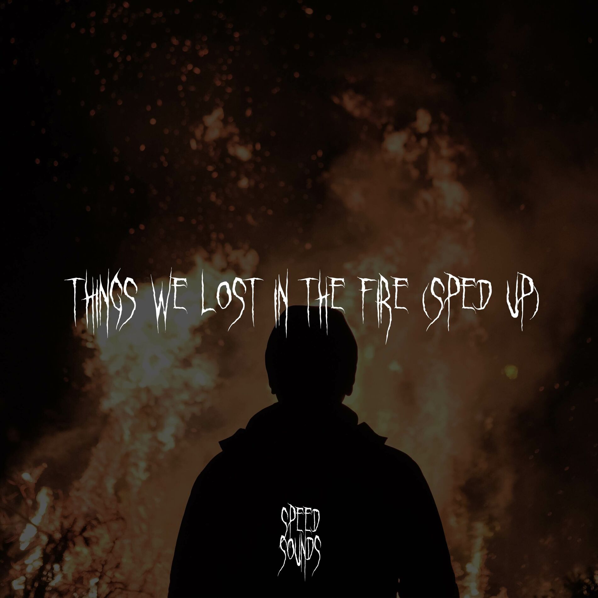 Album cover of Things We Lost In The Fire