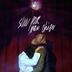 Cover of Slow pour mon chien