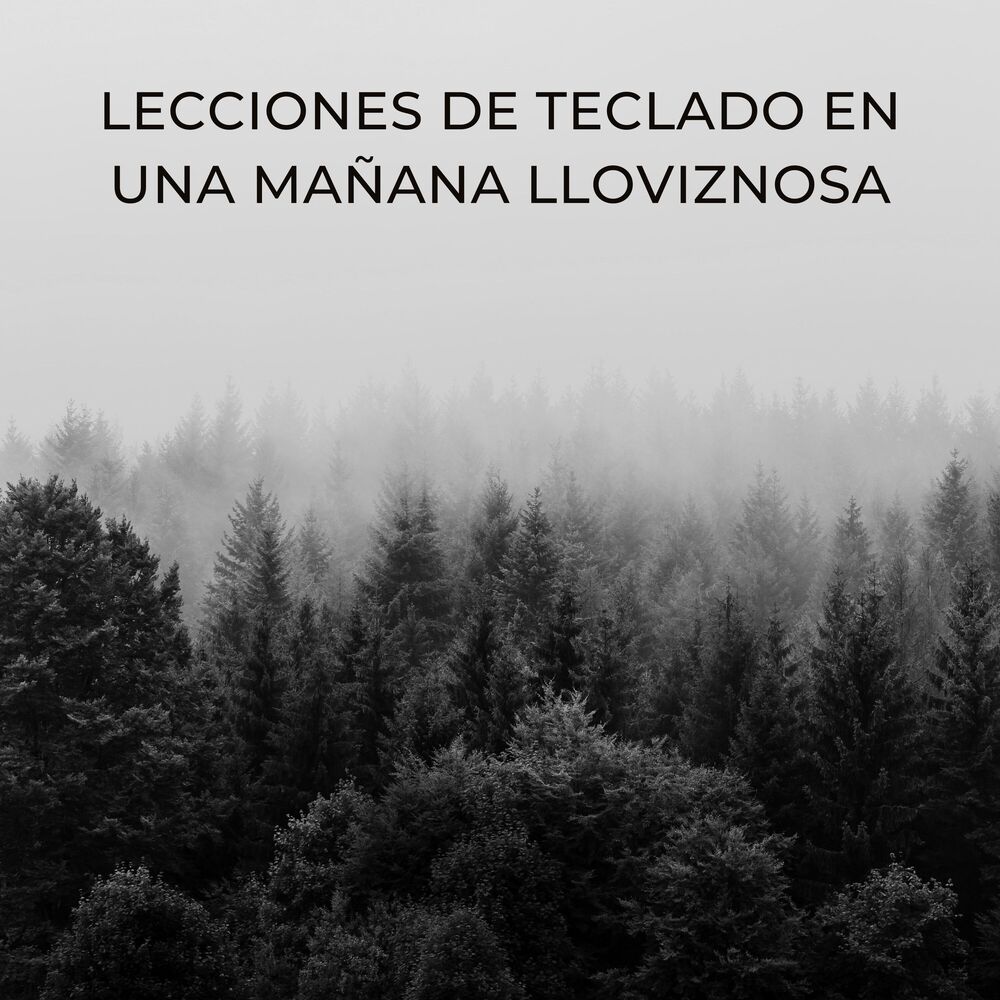Picture of Lecciones De Teclado En Una Mañana Lloviznosa