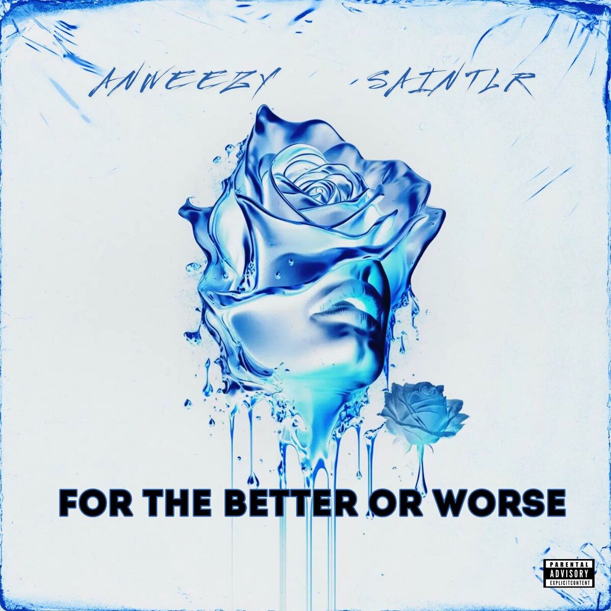 Album cover of For the Better Or Worse (Accelerate Mix)