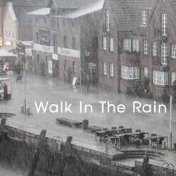 Cover of Walk In The Rain