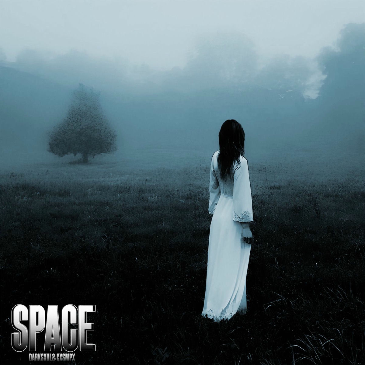 Album cover of SPACE