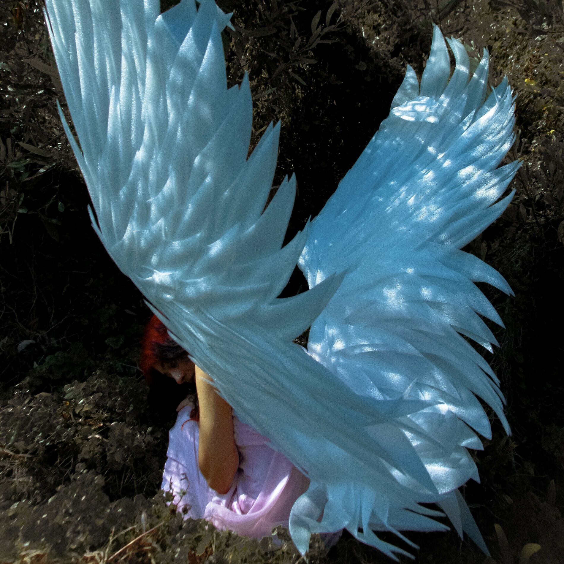 Album cover of Harmonious