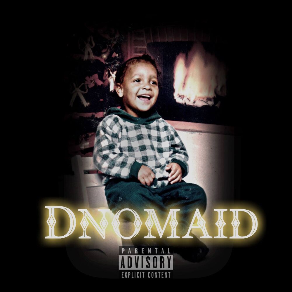Picture of Dnomaid